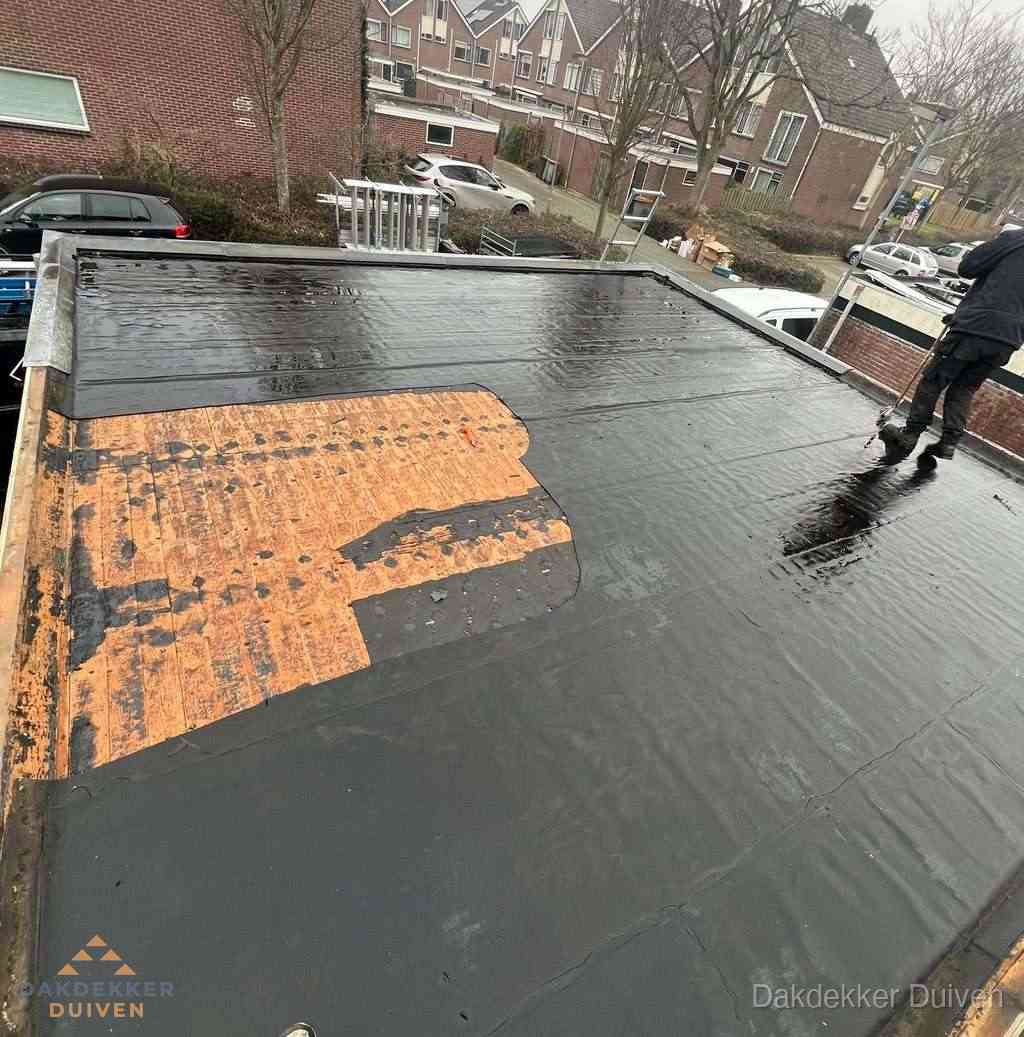 Dakdekker Duiven Dakdekker Duiven