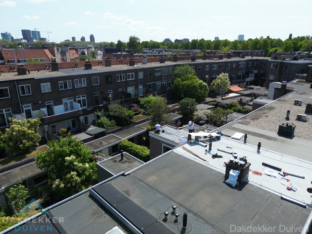 Duiven Dakdekker Duiven Dakdekker