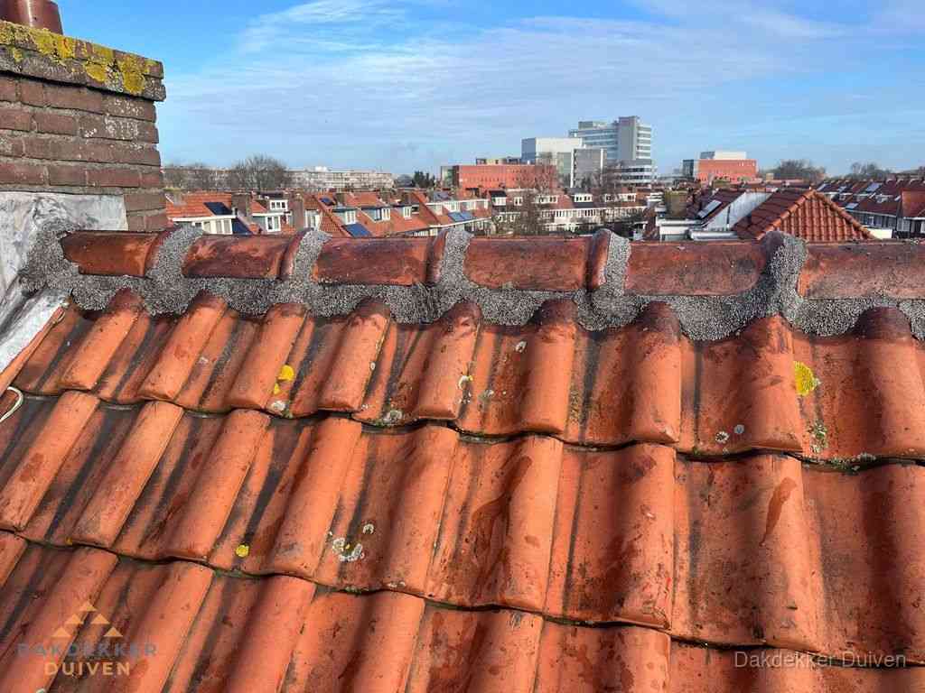Duiven Daken Renoveren Duiven Daken Renoveren