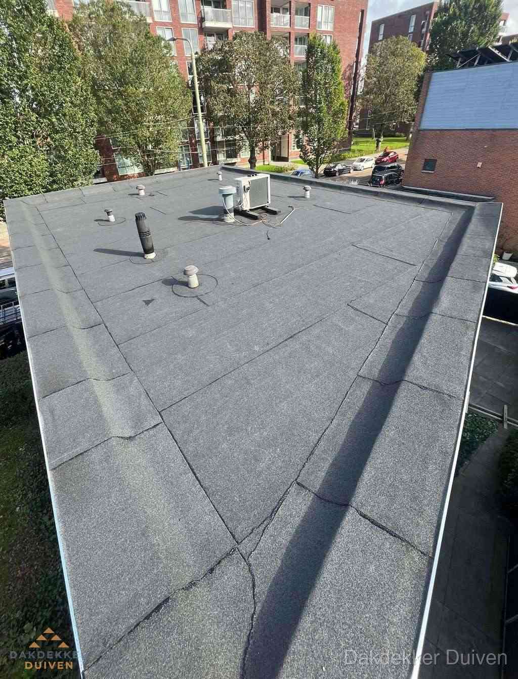 Duiven Plat Dak Repareren Duiven Plat Dak Repareren