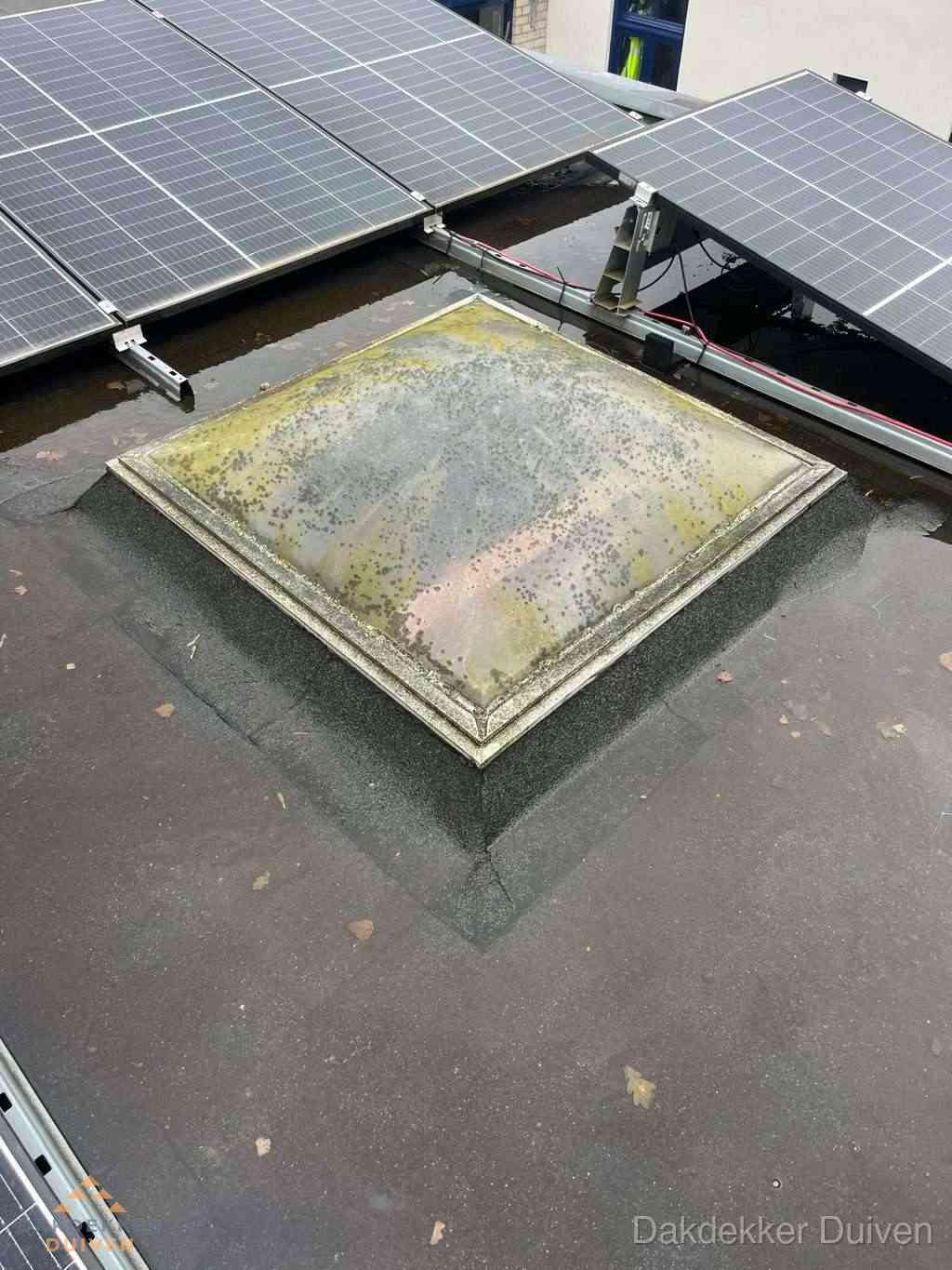 Opsporen Daklekkage Duiven Opsporen Daklekkage Duiven