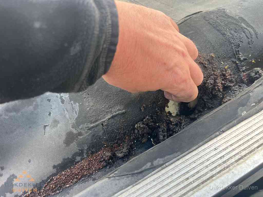 Plat Dak Reparatie Duiven Plat Dak Reparatie Duiven