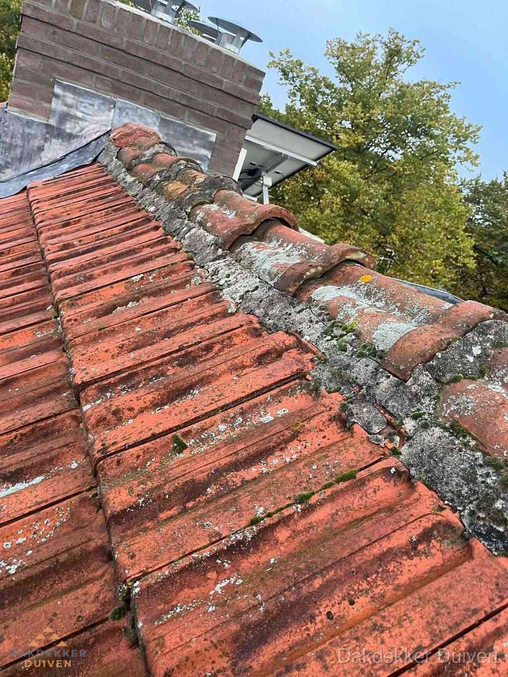 Renovatie Hellend Dak Duiven Renovatie Hellend Dak Duiven